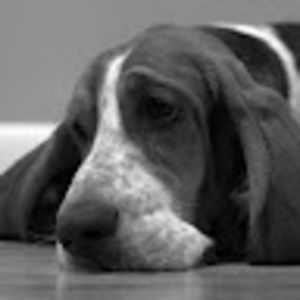 Meet your Posher, Vicki